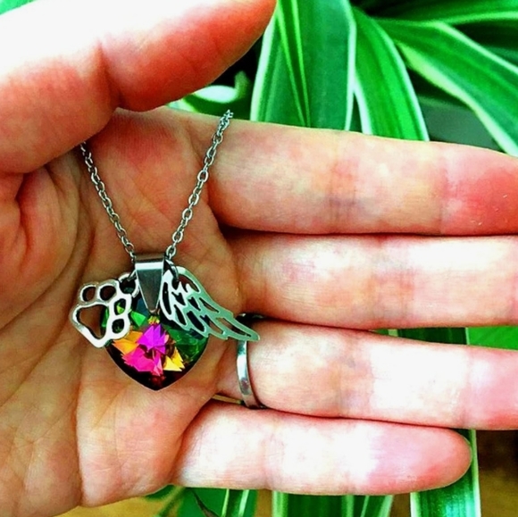 Rainbow Bridge Paw Print, Angel Wing Stainless Steel Necklace w/Colorful Crystal - Picture 2 of 3